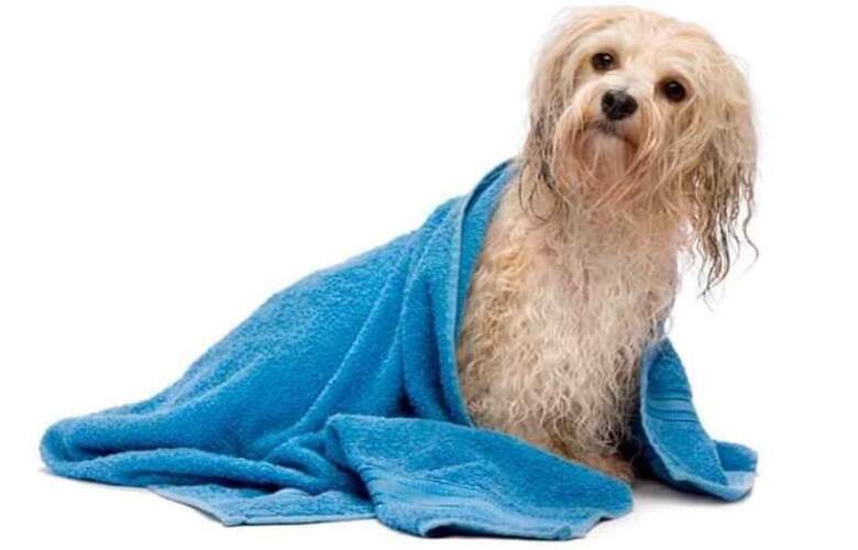 Peluquería especializada